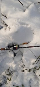 20201122_093507.jpg