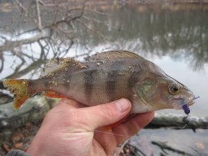 IMG_4478.JPG
