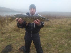 IMG_20201128_135605.jpg