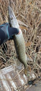 IMG_20201129_104209.jpg
