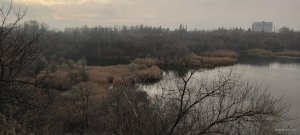 IMG_20201129_072527.jpg