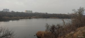 IMG_20201129_072524.jpg