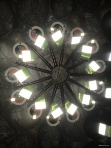 E1671231-99E4-4512-AE17-9D6D2C4B0036.jpeg