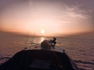 IMG_20201119_151834.jpg
