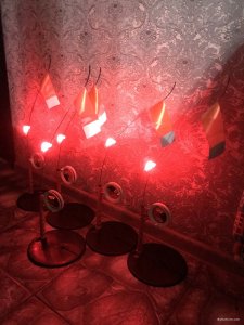 IMG_4829.JPEG
