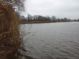 CAM00056.jpg