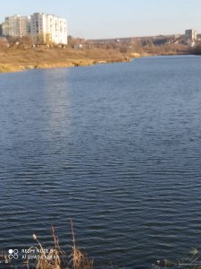 IMG_20201205_100147.jpg