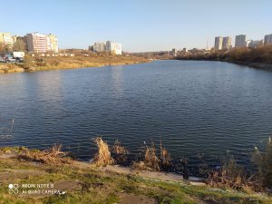 IMG_20201205_100132.jpg