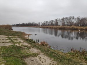 IMG_20201205_085155.jpg
