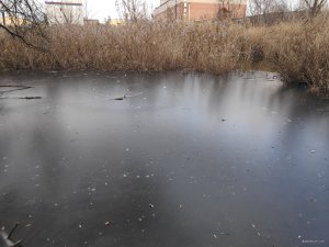 IMG_20201205_092033.jpg