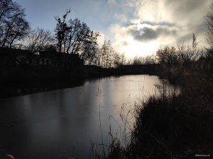 IMG_20201205_092509_1.jpg