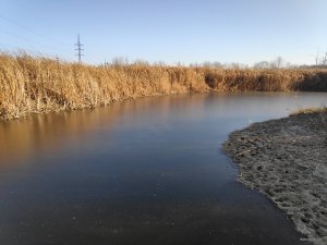 IMG_20201205_094501.jpg