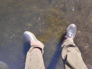IMG_20201205_094414.jpg