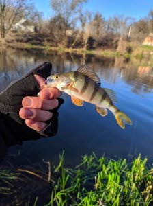 IMG_20201205_121125.jpg