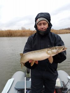 IMG_20201127_135719.jpg