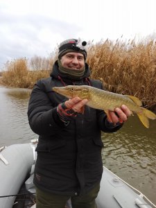 IMG_20201127_140126.jpg