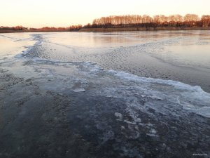 20201205_151746.jpg
