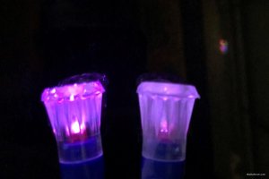 IMG_4918.JPEG