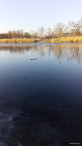 20201206_140923.jpg