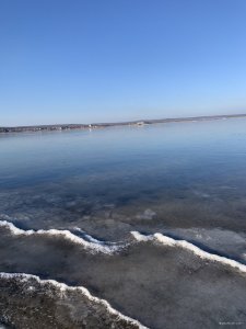 A9265436-87F7-49AF-AD13-FC96157D126D.jpeg
