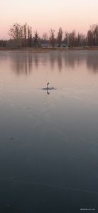 20201207_072207.jpg