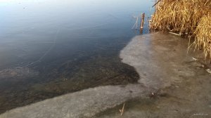 IMG_20201207_082423.jpg