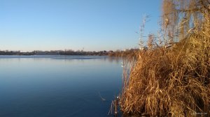 IMG_20201207_082452.jpg