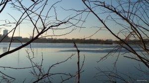 IMG_20201207_082536.jpg