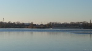 IMG_20201207_082432.jpg