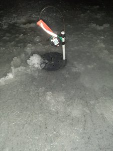 20201207_193154.jpg
