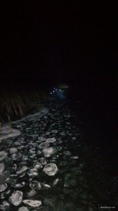 A663DB9F-A8D4-4B77-90B7-ABAE14630D55.jpeg