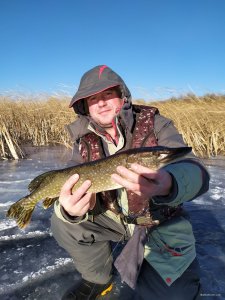 IMG_20201208_121911.jpg