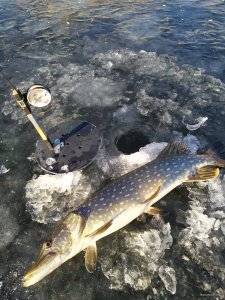 IMG_20201208_134455.jpg