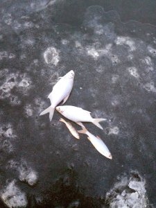 IMG_20201209_153843.jpg