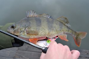 DSC_0035.jpg