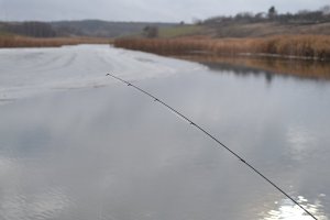 DSC_0040.jpg