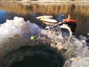 IMG_20201209_133701.jpg