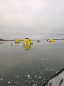 16075821432044631261610745011860.jpg