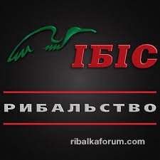 Без названия (2).jpg
