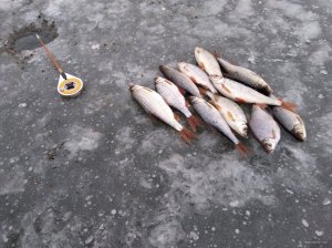 IMG_20201211_145342.jpg