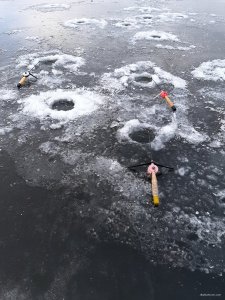 20201211_132002.jpg