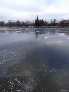 20201211_132009.jpg