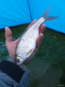 IMG_20201212_182227.jpg