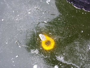 IMG_20201212_182642.jpg