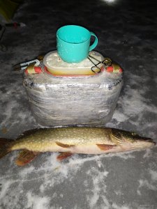 IMG_20201212_190648.jpg
