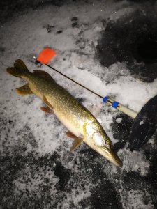 IMG_20201212_205732.jpg