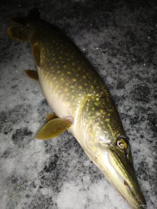 IMG_20201212_210609.jpg