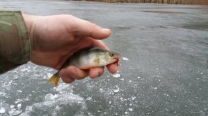 20201213_084310.jpg