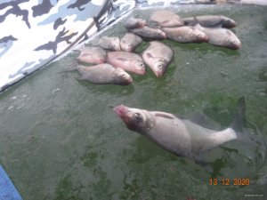 DSC07558.JPG