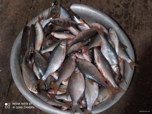 IMG_20201213_173745.jpg